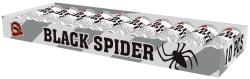 Black spider 10ks 100bal/ctn